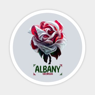 Albany Georgia Magnet